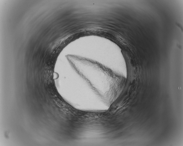 X0000102270822200808221436