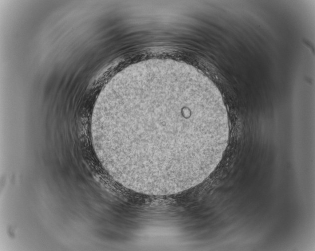 X0000102270824200808221436
