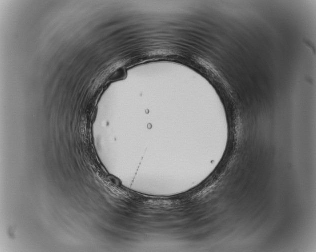 X0000102270825200808221436