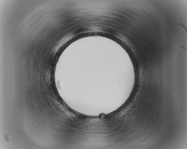 X0000102270826200808221436