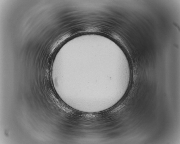 X0000102270827200808221436