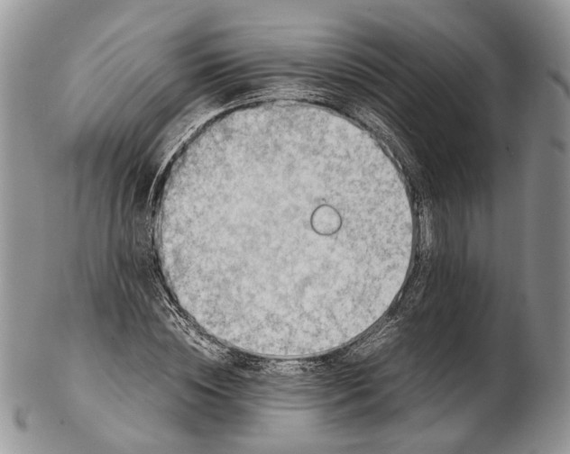 X0000102270828200808221436