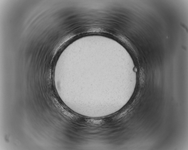 X0000102270831200808221436