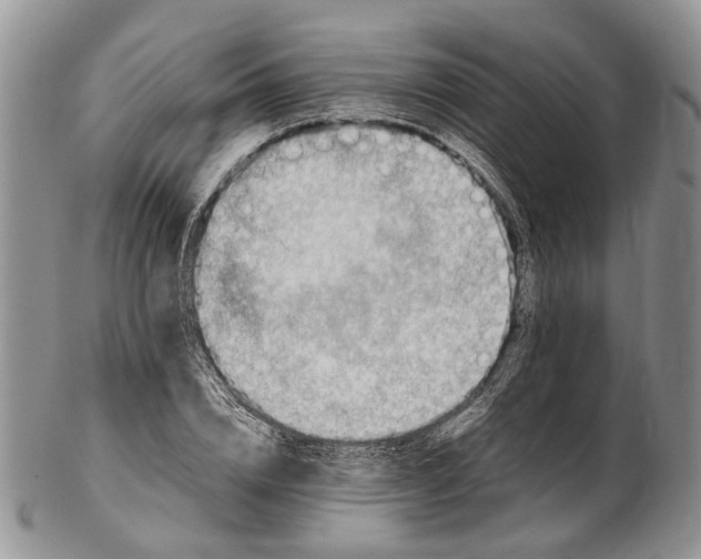X0000102270832200808221436