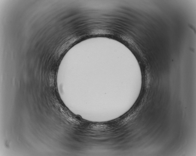 X0000102270833200808221436