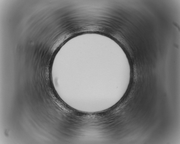 X0000102270834200808221436
