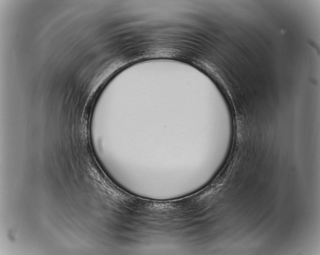 X0000102270835200808221436