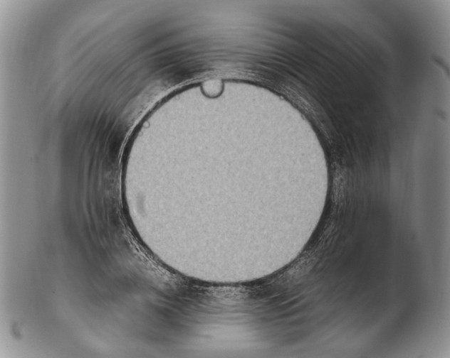 X0000102270836200808221436