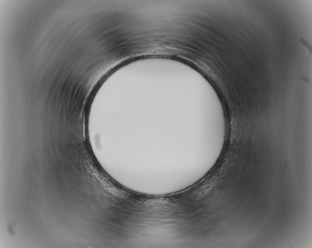 X0000102270838200808221436