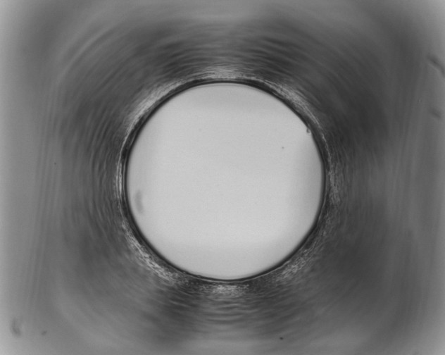 X0000102270839200808221436