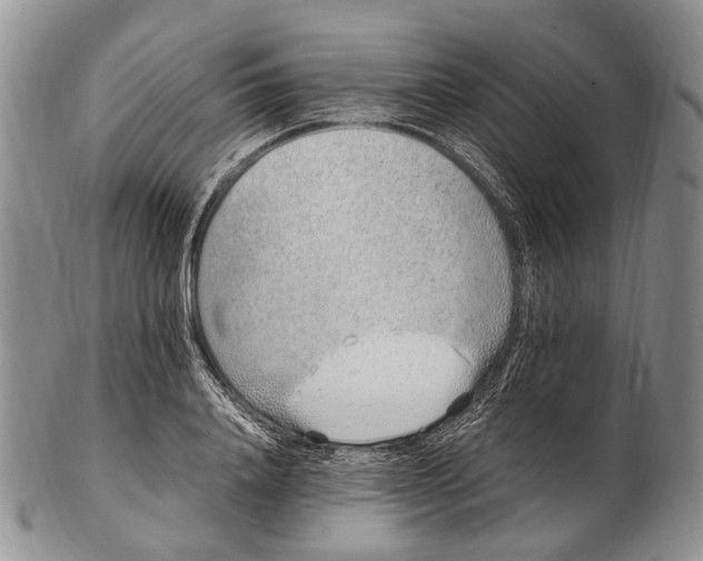 X0000102270840200808221436