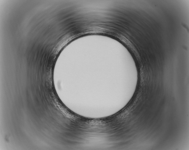 X0000102270842200808221436