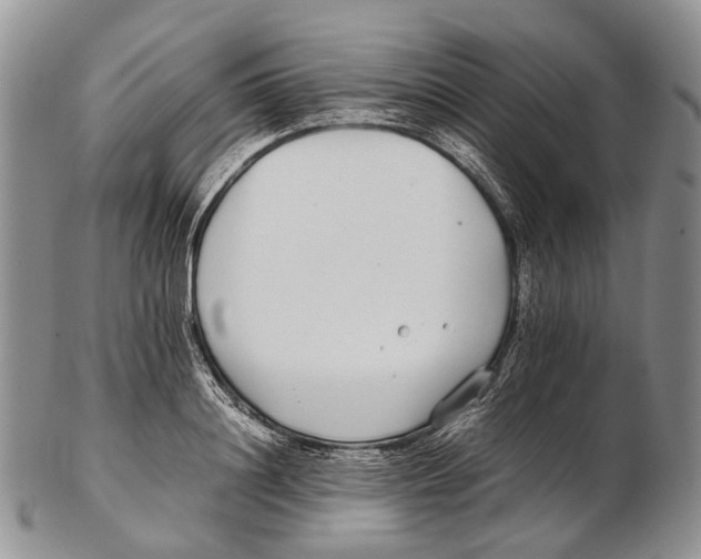 X0000102270844200808221436