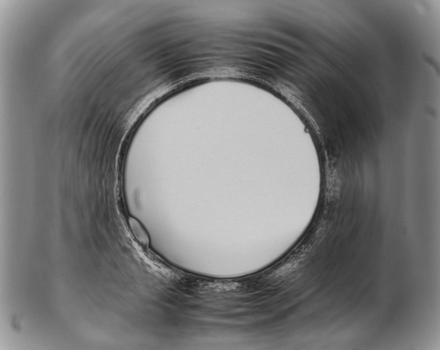 X0000102270845200808221436