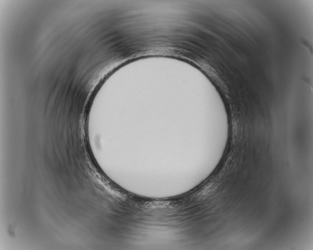 X0000102270846200808221436