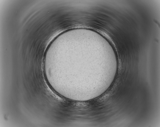 X0000102270847200808221436