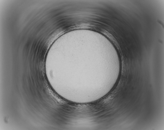 X0000102270850200808221436