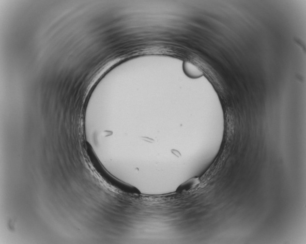 X0000102270852200808221436