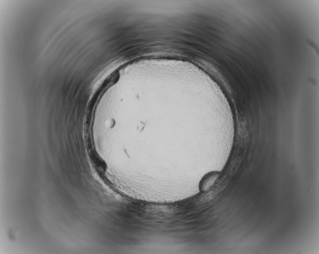 X0000102270855200808221436