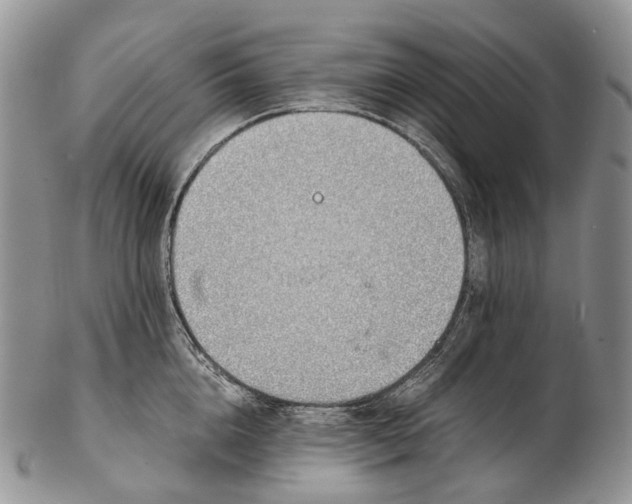 X0000102270856200808221436