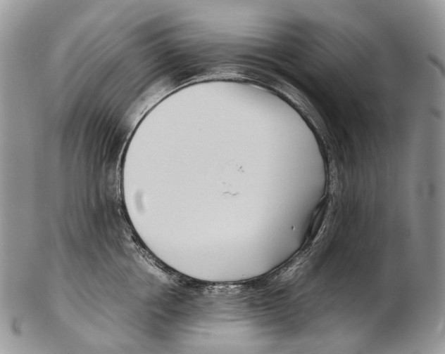 X0000102270858200808221436