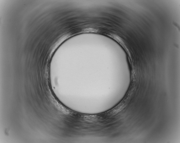 X0000102270859200808221436