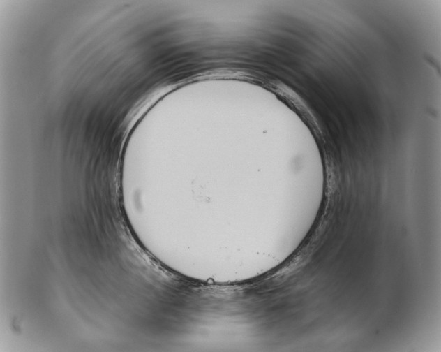X0000102270860200808221436