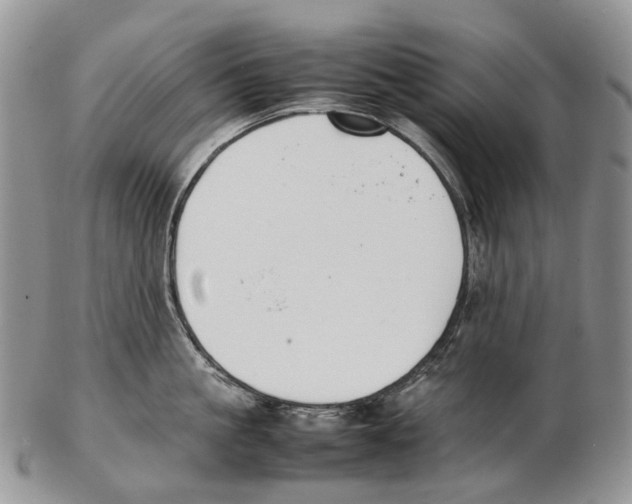 X0000102270861200808221436