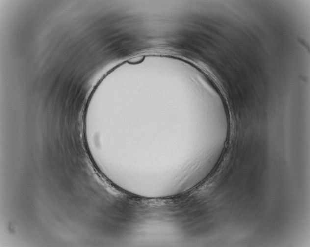 X0000102270862200808221436