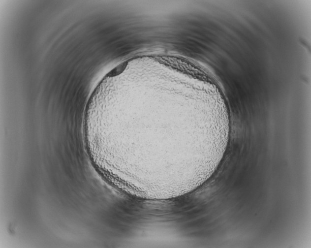 X0000102270863200808221436