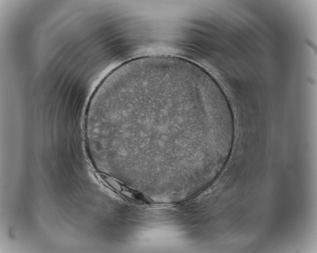 X0000102270864200808221436