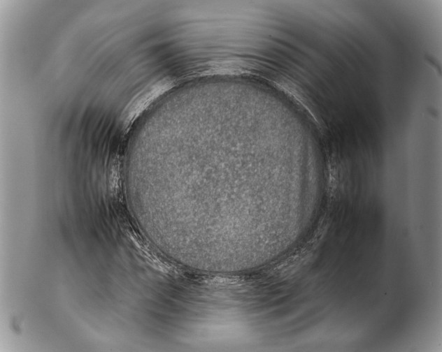 X0000102270874200808221435