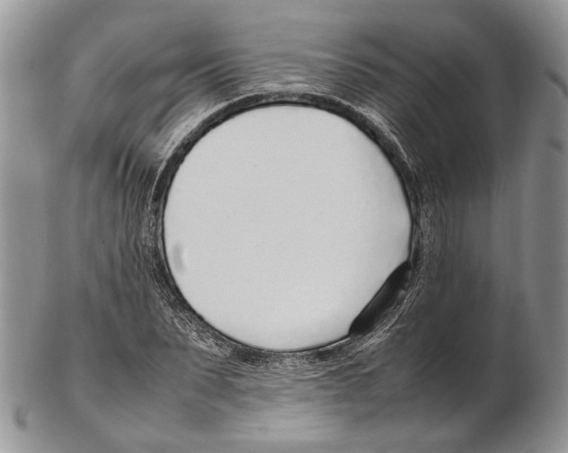 X0000102270879200808221435