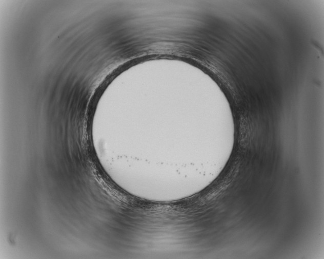 X0000102270880200808221435