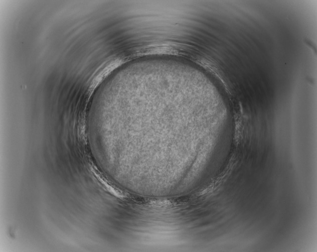 X0000102270882200808221435
