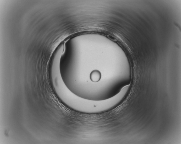 X0000102270883200808221435