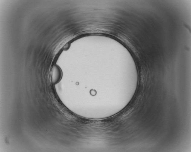 X0000102270885200808221435