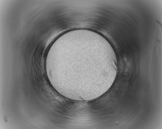 X0000102270886200808221435