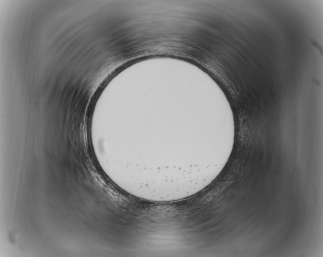 X0000102270888200808221435