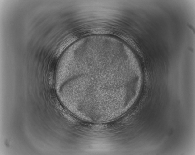 X0000102270889200808221435