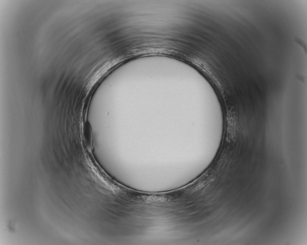 X0000102270890200808221435