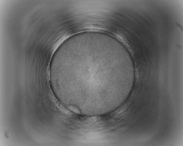 X0000102270891200808221435