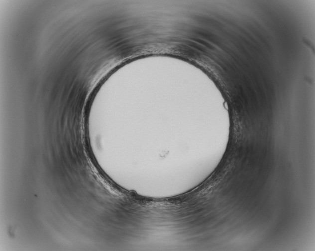 X0000102270894200808221435