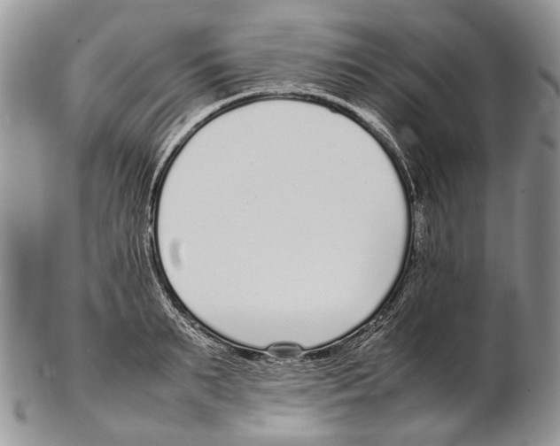 X0000102270895200808221435