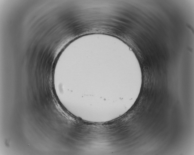 X0000102270896200808221435