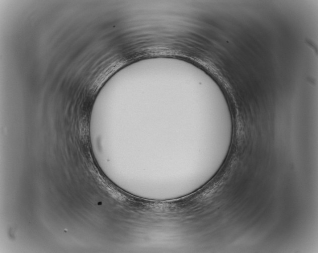 X0000102270897200808221435