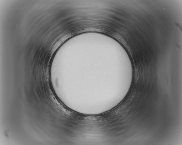 X0000102270898200808221435