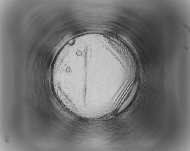 X0000102270899200808221435