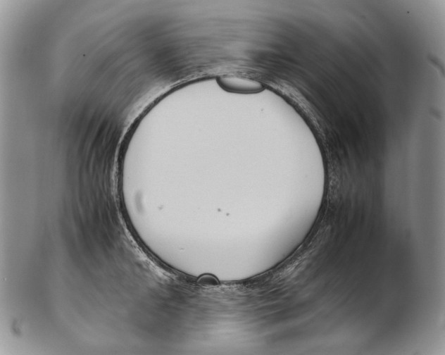 X0000102270902200808221435