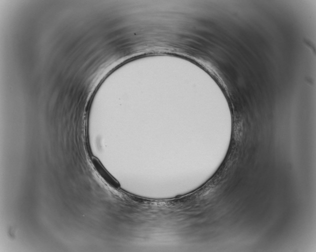 X0000102270903200808221435